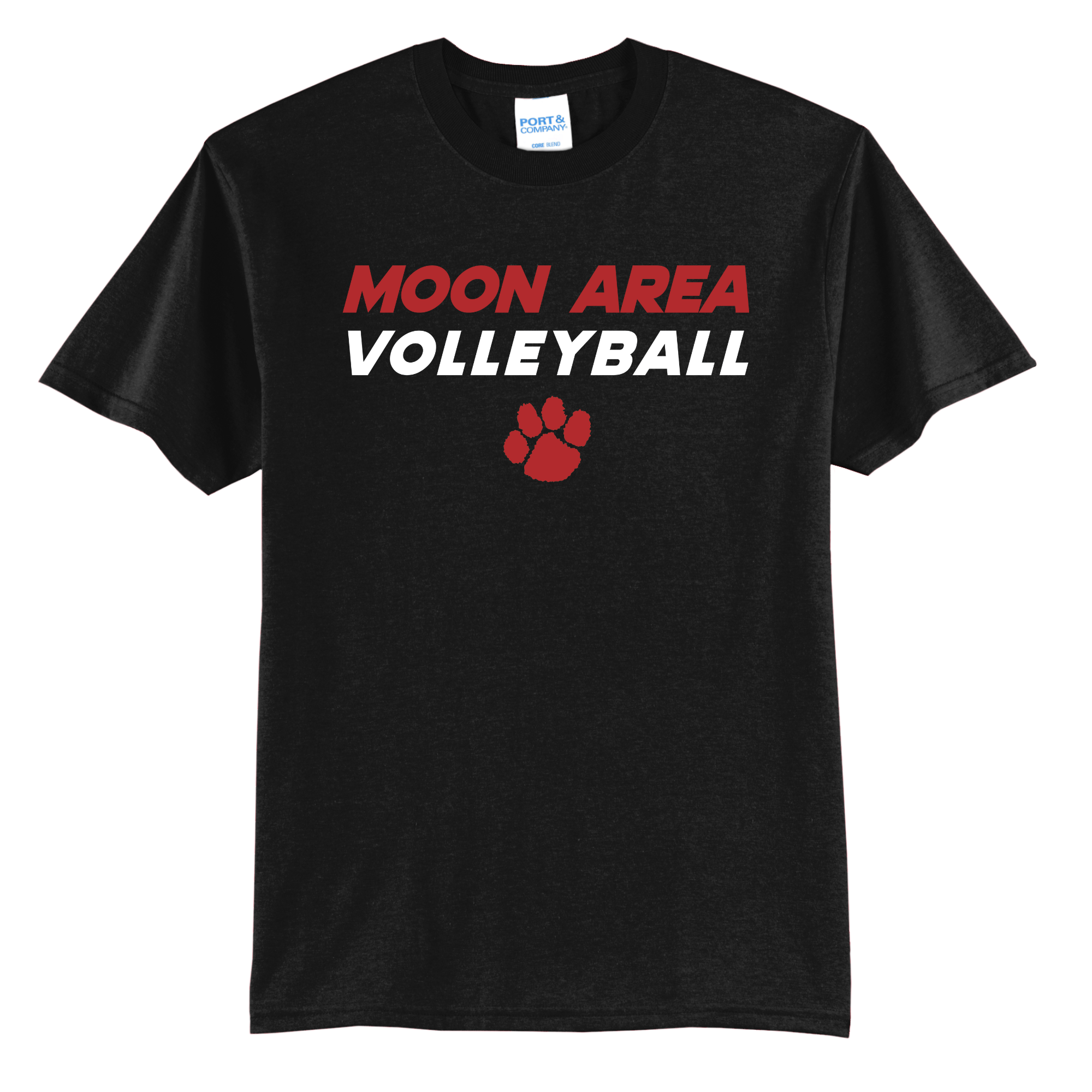 Moon Area Volleyball