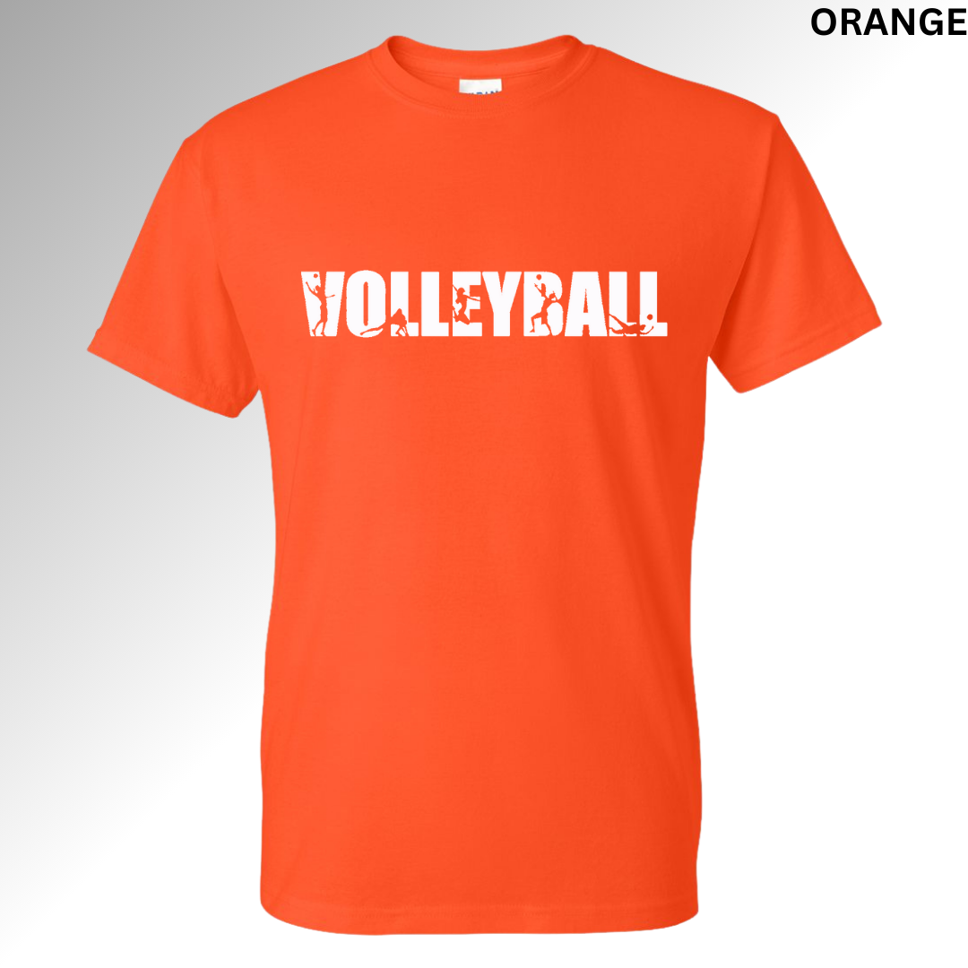 Volleyball
