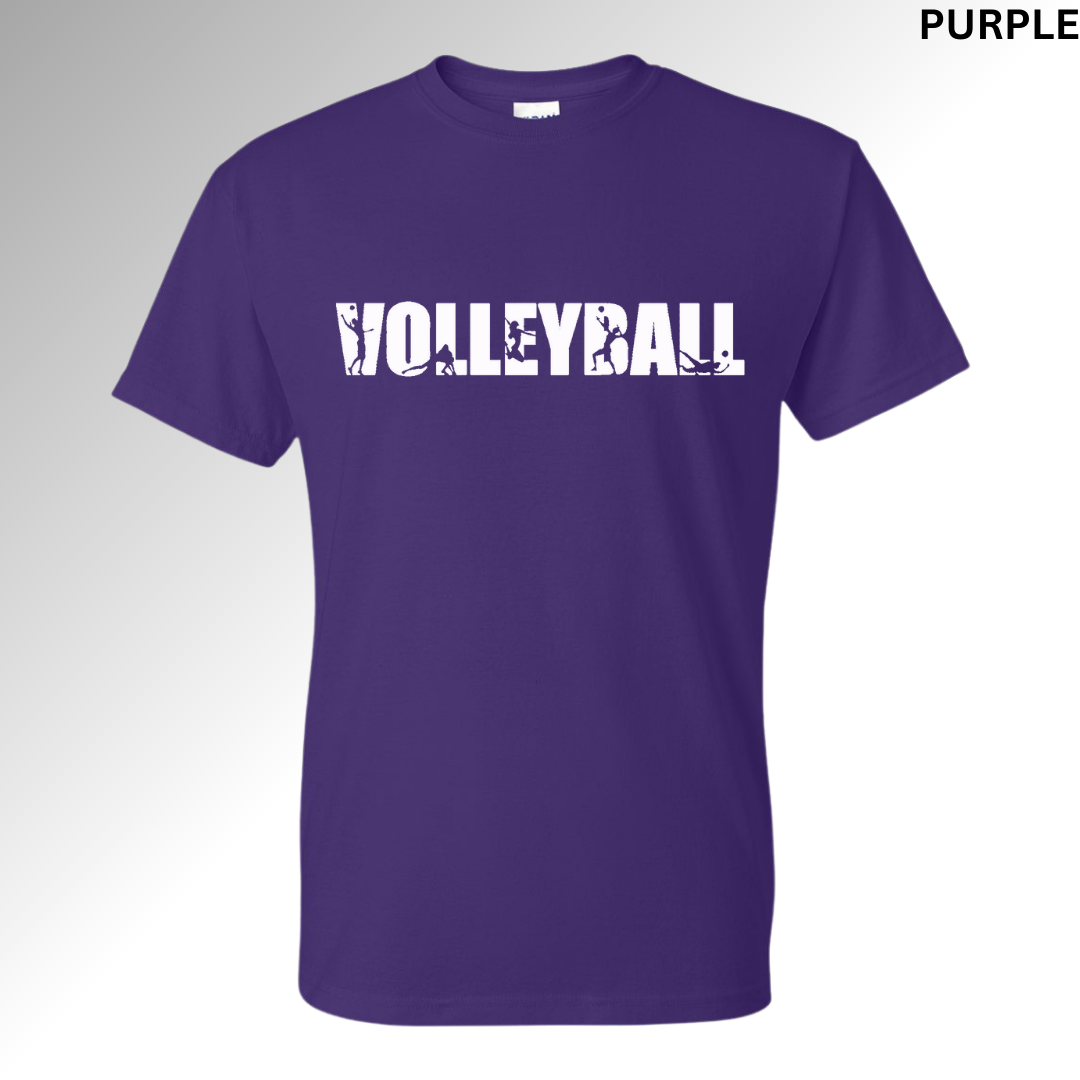 Volleyball