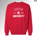 Cupid University Valentine Sweatshirt | Collegiate Love Crewneck