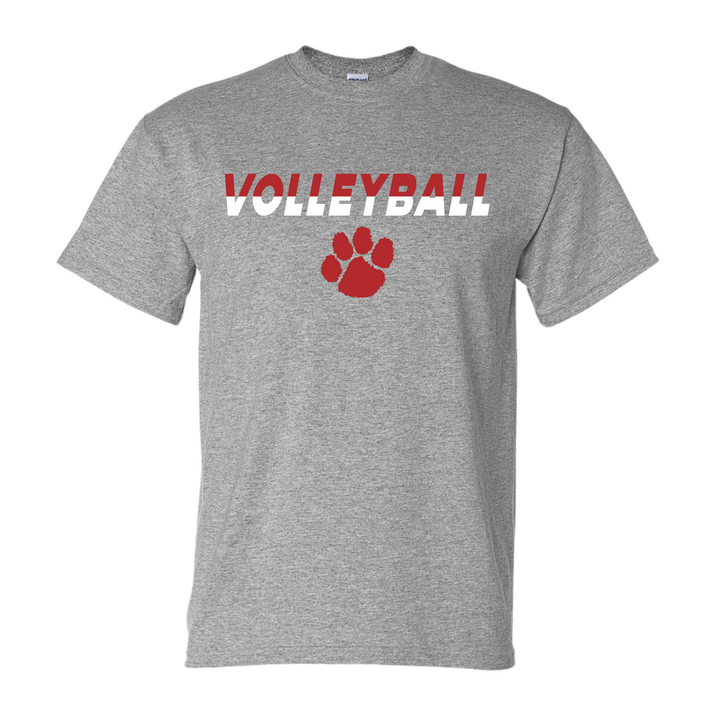 Volleyball Split Colors