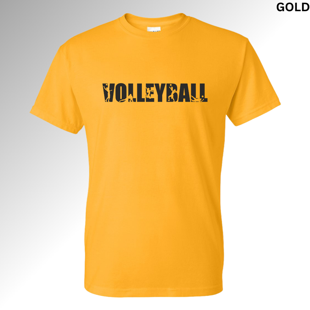 Volleyball