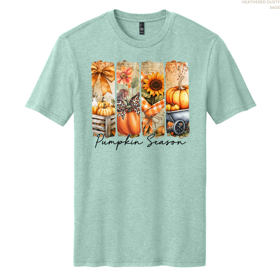 Pumpkin Season Harvest T-shirt