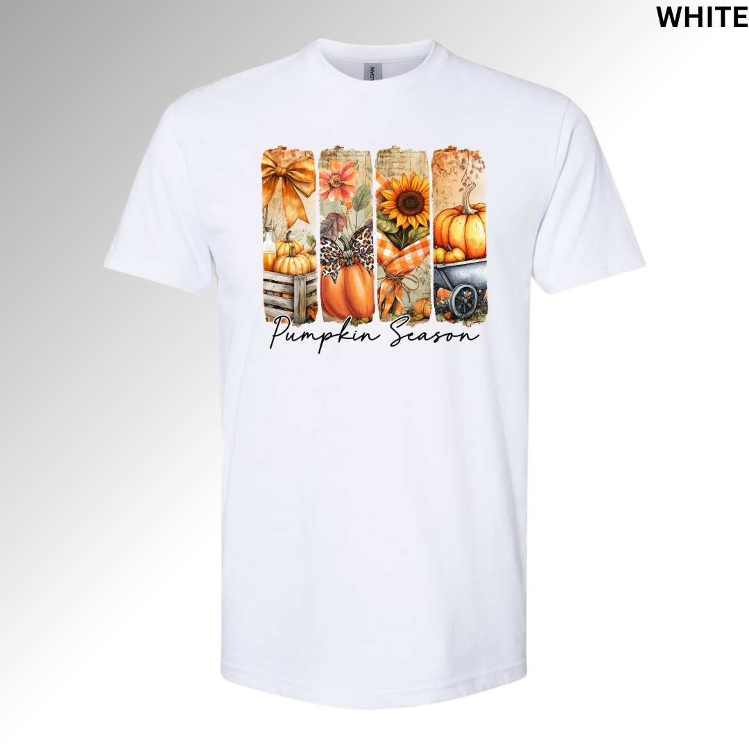 Pumpkin Season Harvest T-shirt