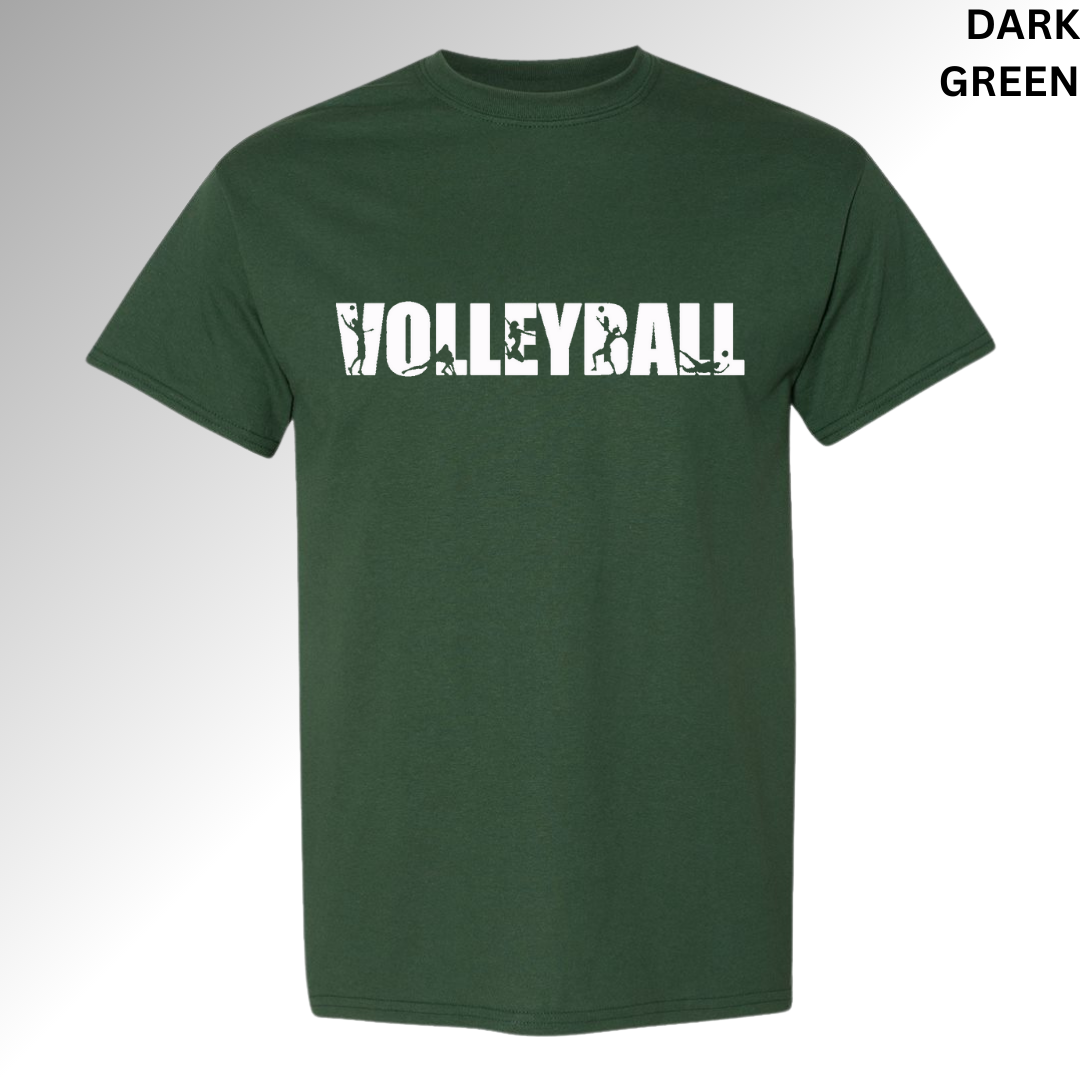 Volleyball