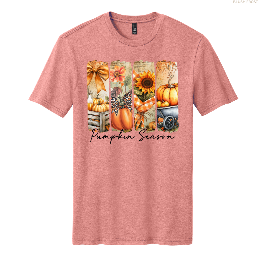 Pumpkin Season Harvest T-shirt