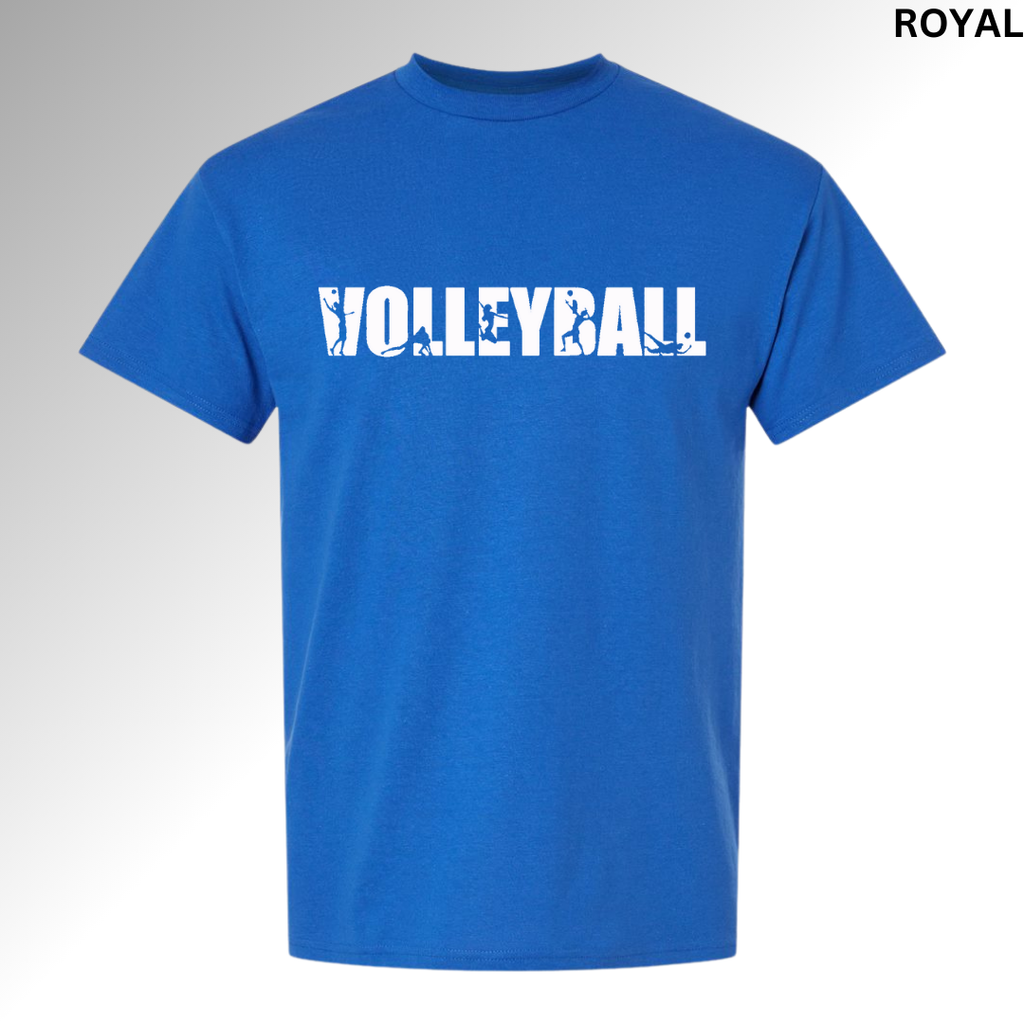 Volleyball