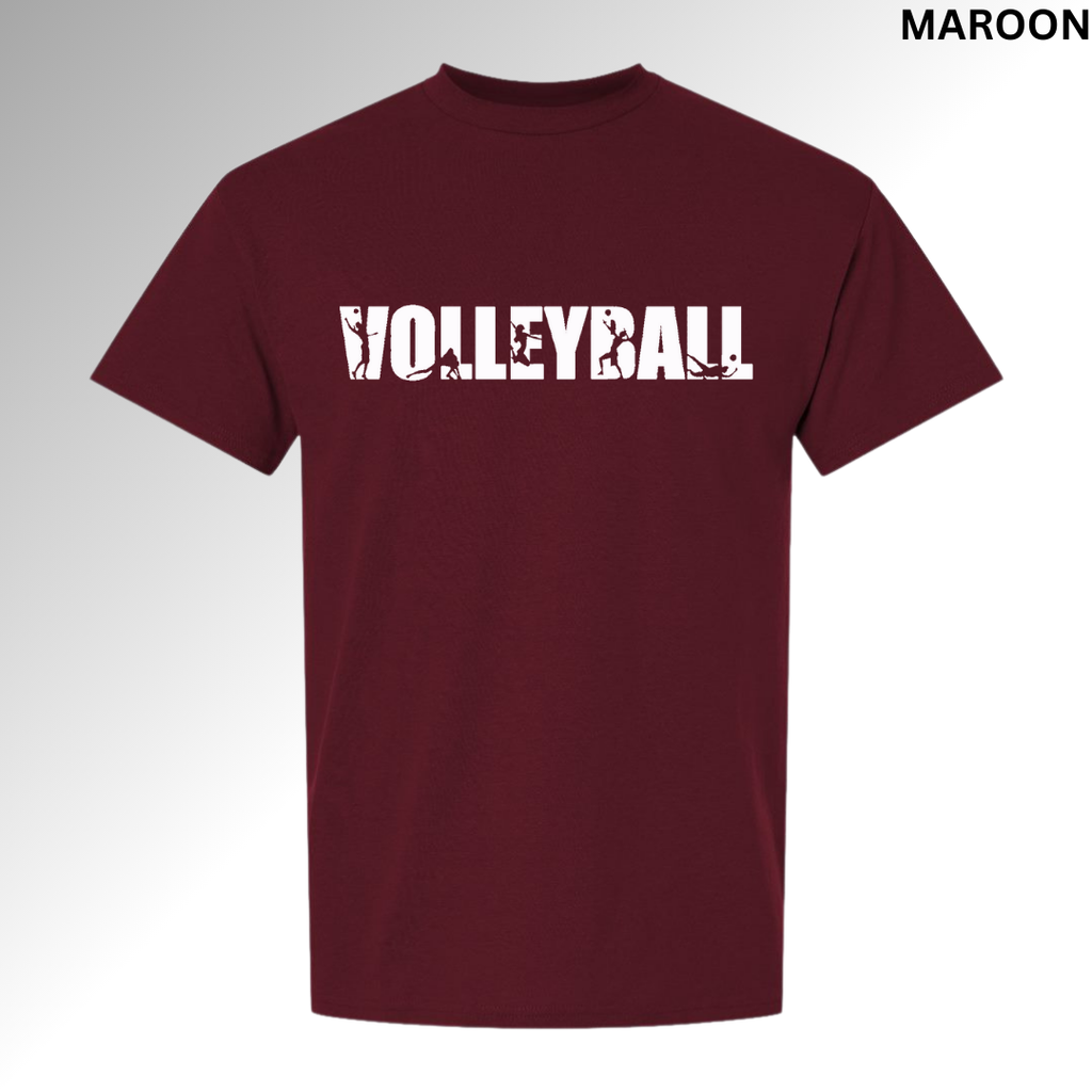 Volleyball