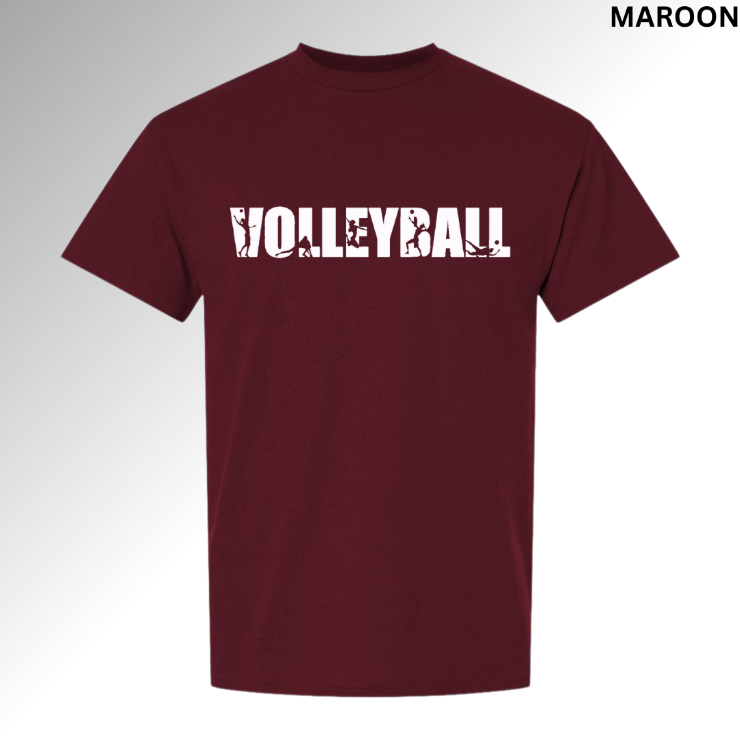 Volleyball