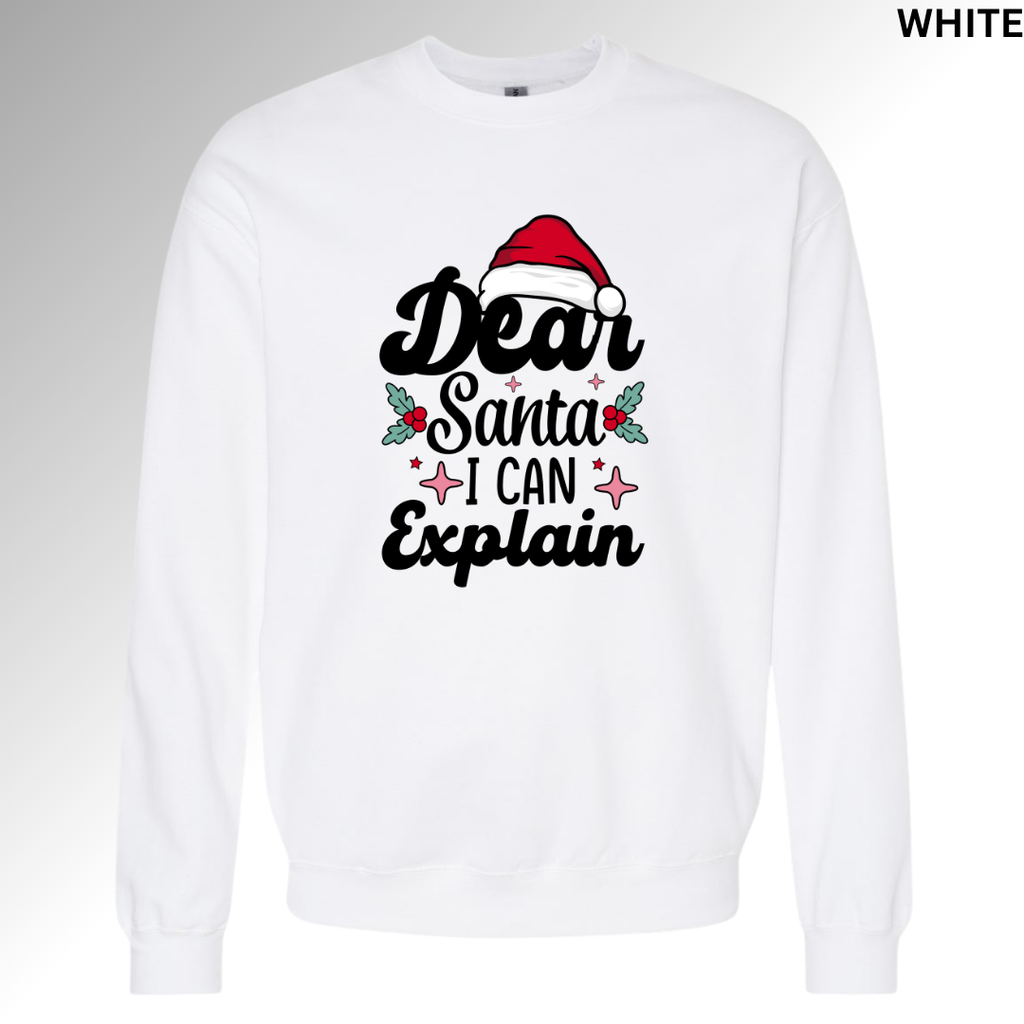 Dear Santa I Can Explain