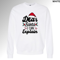 Dear Santa I Can Explain