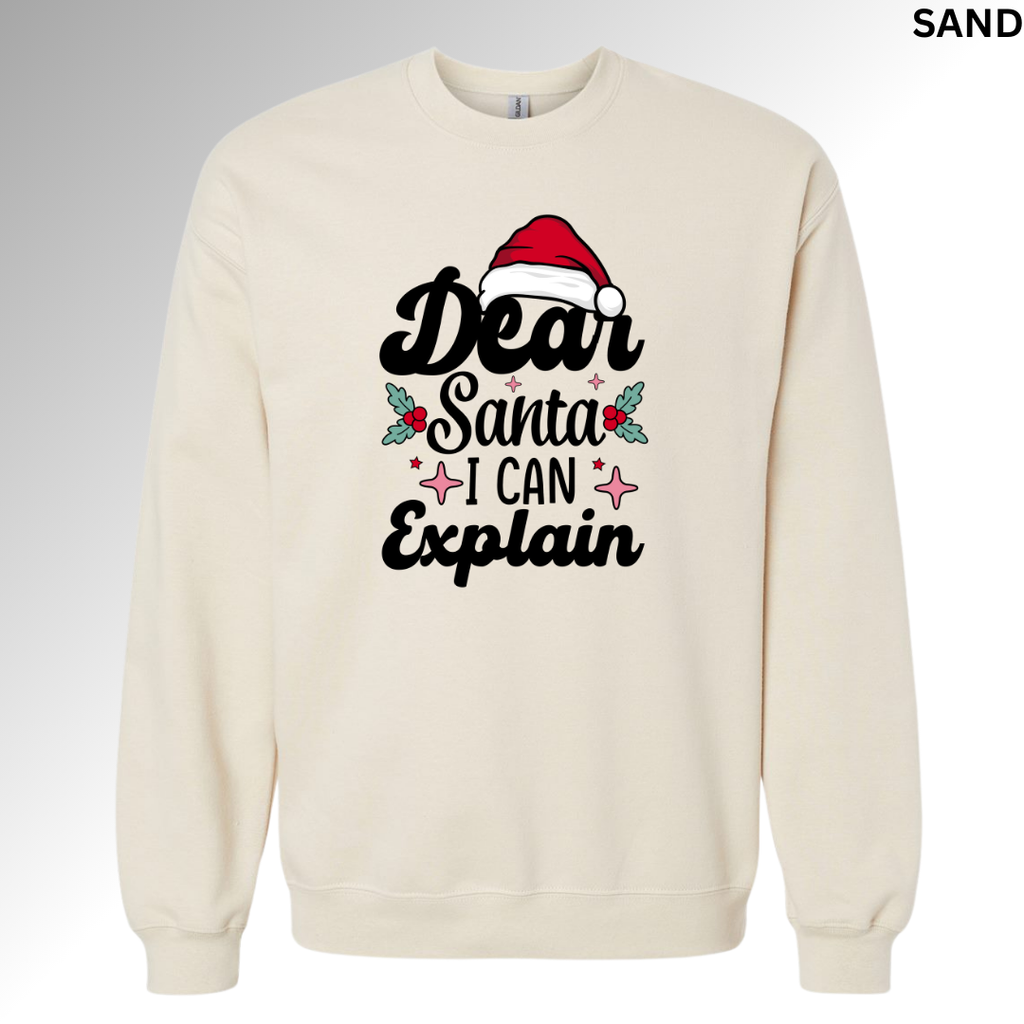 Dear Santa I Can Explain