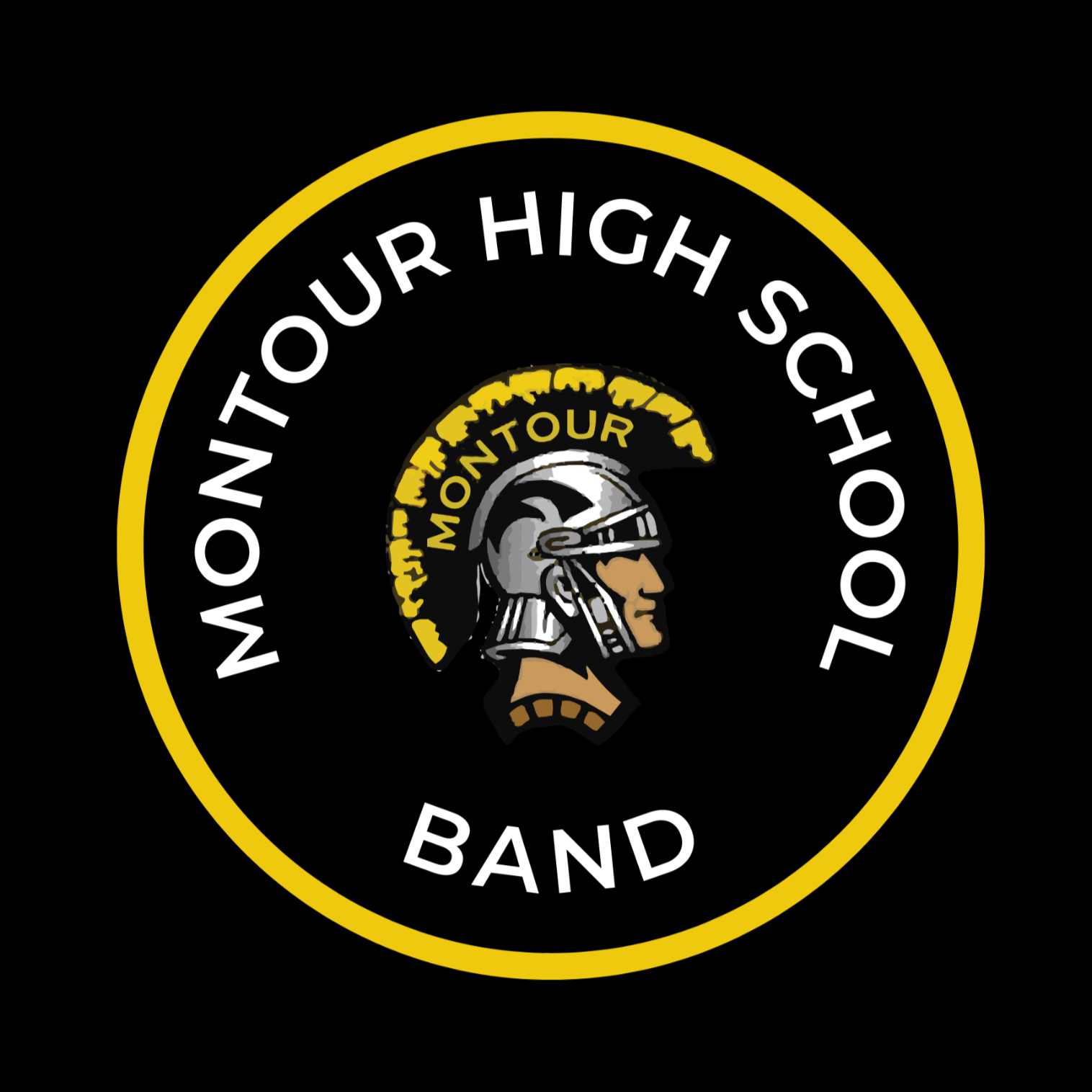 Montour High School Band