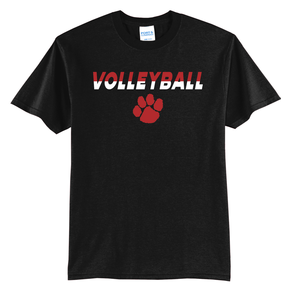 Volleyball Split Colors